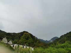 -雁南飞茶田景区