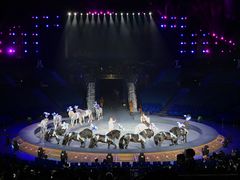 -珠海横琴长隆《卡卡虎奇遇记》