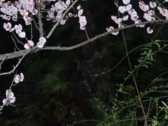 -成都杜甫草堂博物馆