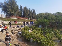 -宝安西湾红树林湿地公园