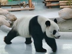 -柳州市动物园