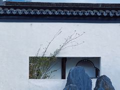 -青果巷历史文化街区