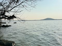 -金鸡湖桃花岛