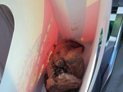 -老谷家黄泥烧鸽子·烧烤