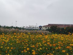 -安徽禾泉小镇