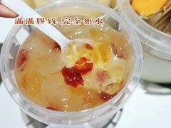 蔓越莓桃胶银耳-炖物24章·顺时轻养茶(杭州保利时光里店)