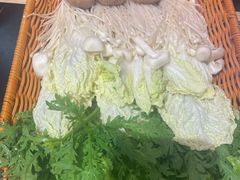 -蜀大侠火锅(四川北路店)