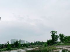 -桂溪生态公园