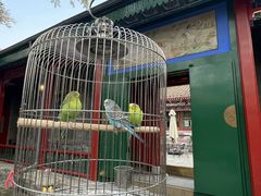 -上海老饭店(北京分店)