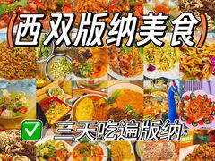 -西双版纳原始森林公园