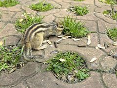 -黑龙江省森林植物园