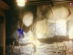 -青藤汗蒸时代会所