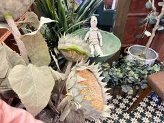 -春风·有糖(崇宁路店)