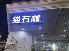 -猫冇咖·家门口的撸猫馆(大融城店)