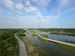 -春花秋色城市公园