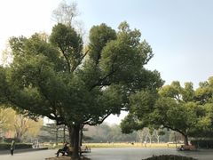 -御花园·粤菜·海鲜火锅(中山公园店)