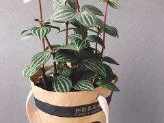 -鹿岛会员店 (龙湖三千集天街店)