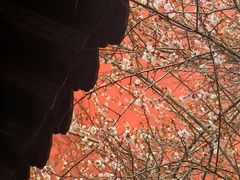 -钱王祠