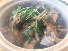 砂锅焗鱼头煲-深圳柯记餐厅(大望店)