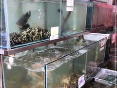 水产区-浩海美食店(闸坡店)