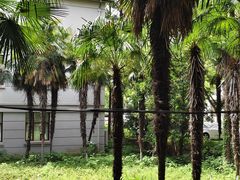 -中南财经政法大学(首义校区)