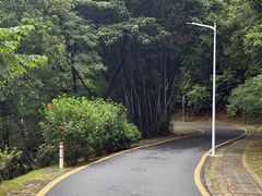-黄埔油麻山森林公园