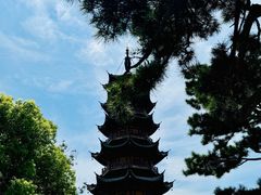 -龙华素斋(龙华路店)