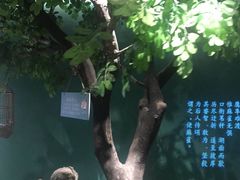 -佬麻雀·剁椒鱼头(京基KK One店)