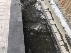 -上海徐汇瑞峰酒店