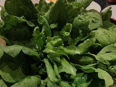 -百草滩羊清水涮羊肉·清真·宁夏盐池滩羊(莲花桥店)