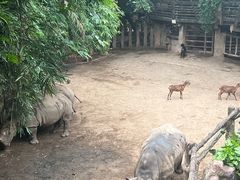 -长鹿旅游休博园