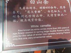 -青岛崂山太清宫