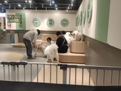 -瑞虹新天地月亮湾