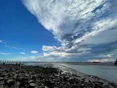 -宝安西湾红树林湿地公园