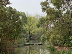 -上海滨江森林公园