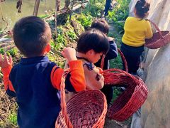 -樂桃源奉贤黄桃种植采摘基地