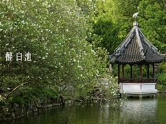 -上海醉白池公园