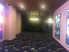 -CMC大光明影城(莲花店)