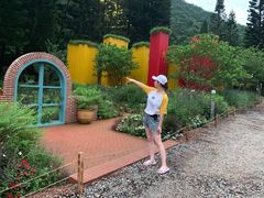 -深圳仙湖植物园-停车场