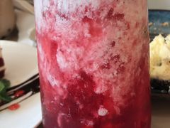 -飞行喵MR PILOT|猫舍·猫咖(静安大融城店)