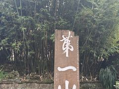 -峨眉山报国寺