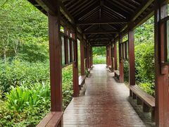 -昆山城市生态森林公园