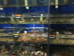 水产区-雅逸居海鲜小厨