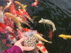 -湖鲜楼