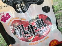 -瑞穗牧场