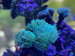 -瑞虹新天地月亮湾