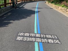 -杭州半山国家森林公园