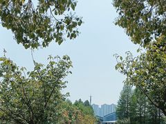 -苏州东太湖生态园