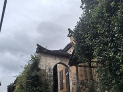 -杨家堂村