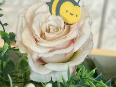 -哈根达斯(滨江店)